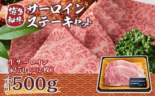 博多和牛サーロインステーキセット 500g (250g×2枚)／ 黒毛和牛 ステーキ 牛肉 福岡県 特産　DX005