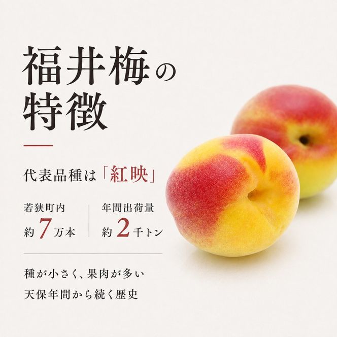 禅風味4種 梅干／ウメボシ／紅映梅 うめぼし 