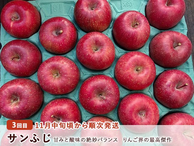 りんご 定期便 3ヶ月 青森 訳あり リンゴ 3種 サンつがる 紅玉 サンふじ 約3kg (8～12玉)  3回 たわわ農園 フルーツ 果物 定期 9月・10月・11月発送予定 オンライン決済限定 