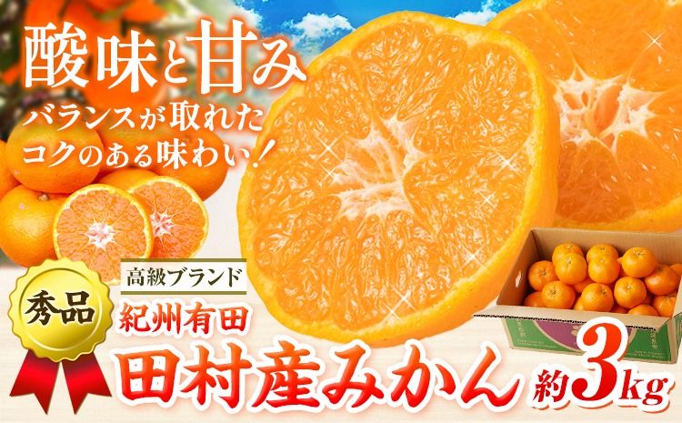 みかん 高級ブランド 秀品 紀州有田田村産みかん 3kg 株式会社魚鶴商店[12月上旬-1月中旬頃出荷(土日祝除く)]和歌山県 日高町 田村産 柑橘 フルーツ くだもの 果物---wsh_uot211_12j1c_25_15000_3kg---