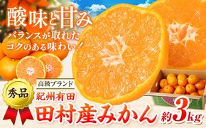 みかん 高級ブランド 秀品 紀州有田田村産みかん 3kg 株式会社魚鶴商店《12月上旬-1月中旬頃出荷(土日祝除く)》和歌山県 日高町 田村産 柑橘 フルーツ くだもの 果物---wsh_uot211_12j1c_25_15000_3kg---