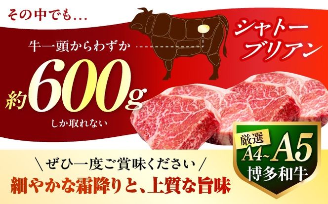 【全12回定期便】【希少部位！】博多和牛 シャトーブリアン 150g×2枚 （計300g）《築上町》【肉のくまもと屋】[ABEZ011]
