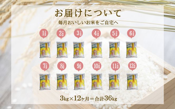 【年間定期便】えびの産 ひのひかり 3kg×12ヶ月 合計 36kg 定期便 米 お米 白米 おにぎり ヒノヒカリ お弁当 九州 宮崎県 特選米 冷めても美味しい 送料無料