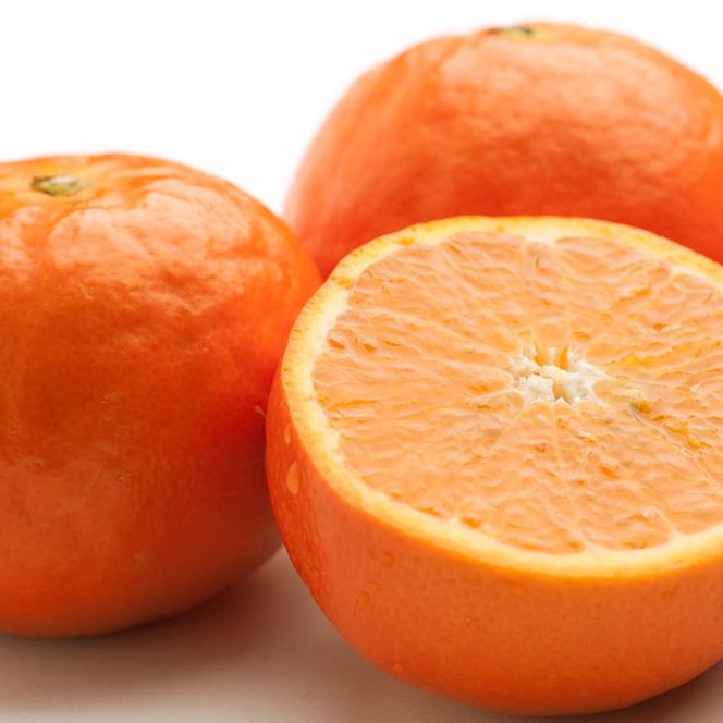 ＜4月より発送＞厳選 セミノールオレンジ7.5kg+250g（傷み補償分）◇【春みかん】【有田産】【光センサー食べ頃出荷】