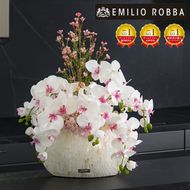 アートフラワー エミリオ・ロバ ファレノプシスリップピンク5L TTUTS59600