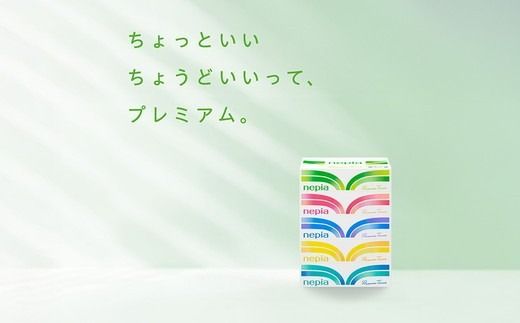 【定期便】3回発送 選べる発送間隔 ネピアティシュ180組 5箱×12パック | 日用品 消耗品 必需品 ティッシュ ボックスティッシュ 箱ティッシュ ストック 花粉症 花粉 防災 備蓄 まとめ買い 全国 発送 一人暮らし nepia ネピア プレミアム