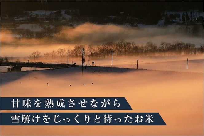 ゆきまち米 2合×6個 【極上魚沼産コシヒカリ】 お米