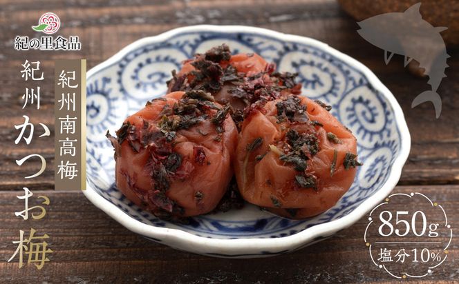 ya̎R쒬zIB썂~ IB~ 850g×1 mKn3n 303446_CQ003