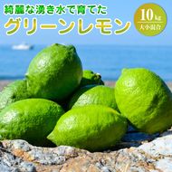 【2026年先行予約】綺麗な湧き水で育てたグリーンレモン 10kg (大小混合)60個～120個_EA6114
