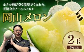 【2026年先行予約】 岡山メロン アールスメロン2玉（3kg以上） ※7月末より順次発送 岡山県 真庭市 フルーツ 果物 高級 ギフト 贈答 ご家庭用 【mnem002-01】