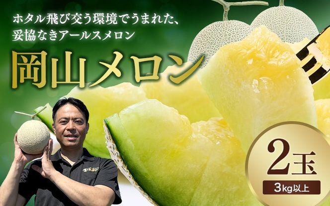 【2026年先行予約】 岡山メロン アールスメロン2玉（3kg以上） ※7月末より順次発送 岡山県 真庭市 フルーツ 果物 高級 ギフト 贈答 ご家庭用 【mnem002-01】