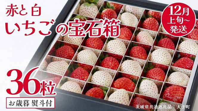 y錧vszy Ε lt z Ԃ   ̕Δ36y2025N12{Jnz(錧ʕԗiFq)   ʕ t[c ʎ p Mtg 蕨