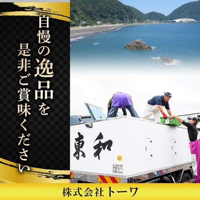 ＜瞬間凍結＞生簀直送 とらふぐ 刺身 セット (4-5人前) 魚 鮮魚 ふぐ 河豚 刺し身 刺身 さしみ ポン酢 もみじおろし 冷凍 佐伯 養殖 大分県 佐伯市【EA30】【(株)トーワ】