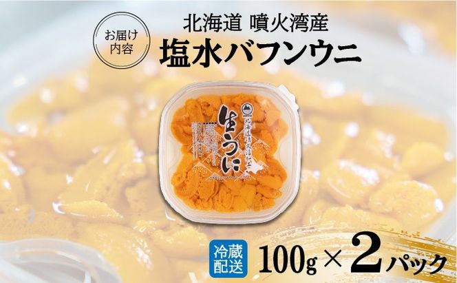 北海道 噴火湾産 塩水 バフンウニ 100g 2パック 計200g うに ウニ 雲丹 海鮮 海の幸 魚介類 ウニ丼 お寿司 濃厚 無添加 産地直送 お取り寄せ 山村水産 送料無料 【55250662】