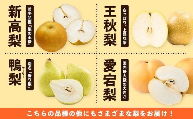 【ふるプレ限定品】 訳あり 旬の梨 約2kg 2～5玉 《9月上旬-1月上旬頃発送》岡山県産 新高梨 愛宕梨---yakage_loc_20_p---