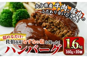 佐伯市の「なずなの塩」使用 !大分の恵みハンバーグ (計約1.6kg・160g×10個) ハンバーグ 冷凍ハンバーグ 合い挽き 小分け 個包装 簡単 湯せん 温めるだけ 冷凍 レトルト おかず 惣菜 【DT05】【全国農業協同組合連合会大分県本部】