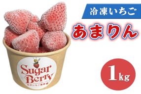 冷凍いちご《あまりん》1kg｜埼玉 オリジナル 品種 糖度 高い 甘い 高級 イチゴ SugarBerry すぎと [0684]