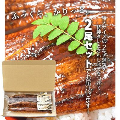 うなぎ蒲焼き2尾入(合計430～480g) 蒲焼たれ4袋（山椒付き）_AZ6024