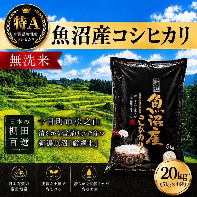 【令和7年産】【食味鑑定士厳選】日本棚田百選のお米 無洗米 天空の里 魚沼産 こしひかり 20kg(5kg×4)