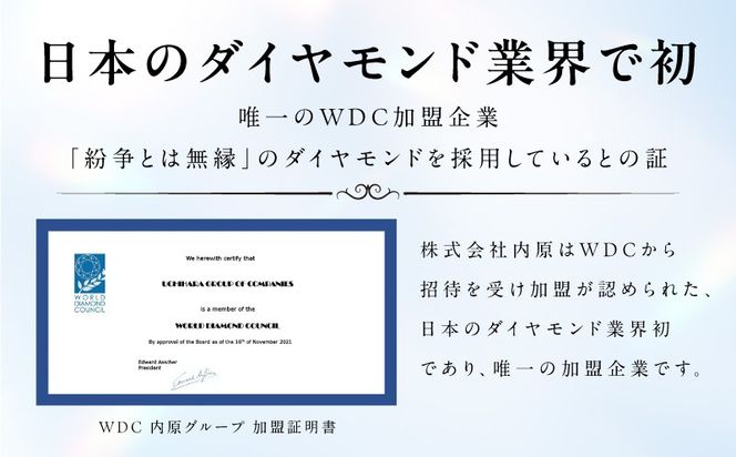 J051-4 アルカンシェル プラチナダイヤペンダント ダイヤ計0.45ct【鑑別書付き ジュエリー プレゼント ギフト ファッション アクセサリー 贈り物 贈答 お祝い 記念日】