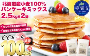 北海道パンケーキミックス 5kg MROBI006