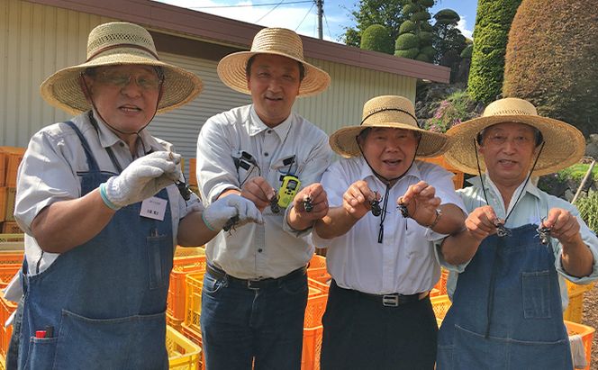 同時に楽しめる！ブルーベリー狩り・カブト虫狩り 長野県下最大級 体験チケット