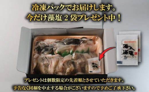 クエ鍋セット 500g タマクエ 切り身 ＋ アラ 合計 500g 2～3人前 冷凍 クエ 高級 幻 新種 鍋 クエ鍋 アラ鍋 海鮮 刺身 生食 脂 プレミアム 新鮮 白身魚 淡泊 蒸し料理 グリル 規格外 九絵 ギフト 贈り物 プレゼント 愛南サン・フィッシュ