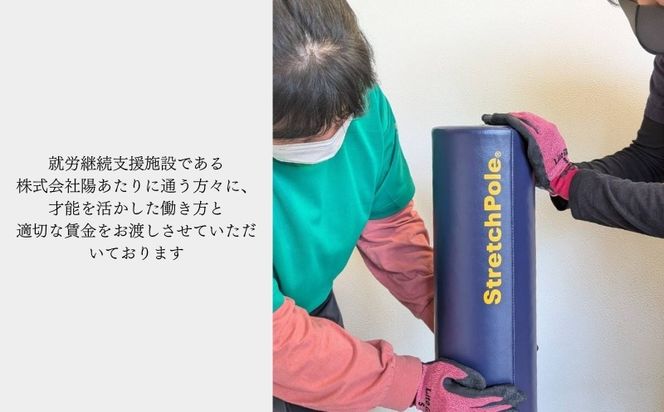 100F072 【LPN社製】ストレッチポールEX ネイビー【正規品 セルフケア ストレッチ エクササイズ 腰痛 肩こり 体幹 コアトレ】