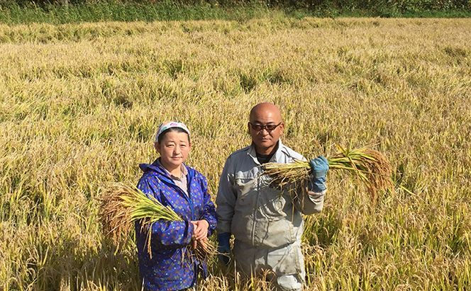 6ヵ月 定期便 仁木町「ゆめぴりか」5kg お米 米 ごはん 精米 白米 国産 北海道 こめ コメ 6回[峠のふもと　紅果園]
