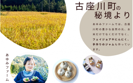 秘境の地からお届けする あゆみファームのお米 にこまる 5kg 令和７年産【10月下旬頃から順次発送】/ 米 お米 にこまる 5kg 精米 和歌山【aym013】