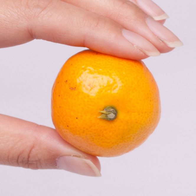 家庭用 小玉な有田みかん5kg+250g（傷み補償分）【わけあり・訳あり】【光センサー選果】 