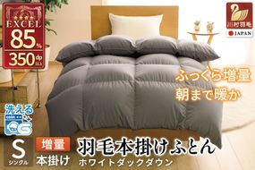 【冬用】洗える 羽毛布団 シングル 本掛け 増量 冬 掛け布団 ホワイトダックダウン85％ 1.2kg 350dp グレー 無地 羽毛 布団 羽毛ふとん 本掛け布団 4つ星 エクセルゴールドラベル ダウンケット 寝具 掛布団 羽毛掛け布団 コインランドリー 抗菌防臭 防汚加工 柔軟加工 防ダニ [川村羽毛 山梨県 韮崎市 20742899]