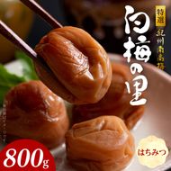 特選紀州南高梅「白梅の里」はちみつ　800ｇ_SF2003