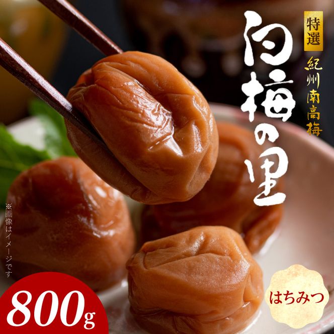 特選紀州南高梅「白梅の里」はちみつ　800ｇ_SF2003