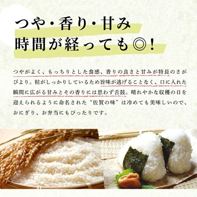 《先行予約》《2025年12月以降順次配送》 令和7年産 さがびより（精米）5㎏