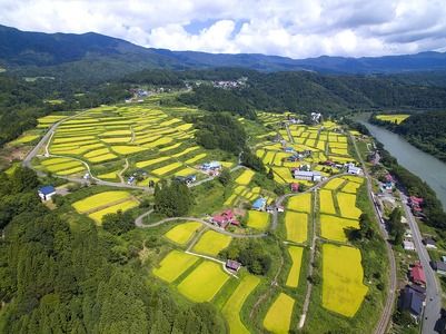 【令和6年産 新米予約】沼田さんちの満点こしひかり 5kg (6-35) 