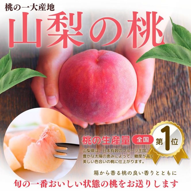 【2027年出荷分 先行予約】訳あり 朝もぎ直送!『山梨県産　桃』約１３～１８玉 約5kg規格箱入り 専用トレーを使用した簡易梱包 【高機能共選機使用】選び抜かれた山梨の桃《もも 先行予約》山梨県産　モモ/ フルーツ 果物 くだもの 人気 産地直送/厳選  贈答 贈り物【tab0250】