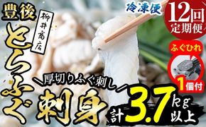 【期間限定・ふぐひれ付】＜定期便・全12回 (連続)＞ 豊後 とらふぐ 刺身 セット (総量約3.7kg：4-5人前×12回) とらふぐ ふぐ フグ ふぐ刺し フグ刺し ふぐ刺身 フグ刺身 刺身 鮮魚 冷凍 養殖 国産 大分県 佐伯市 【AB199-G】【柳井商店】