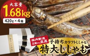 国内加工　特大ししゃも　4箱セット-[G506]