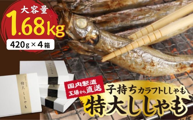 国内加工　特大ししゃも　4箱セット-[G506]