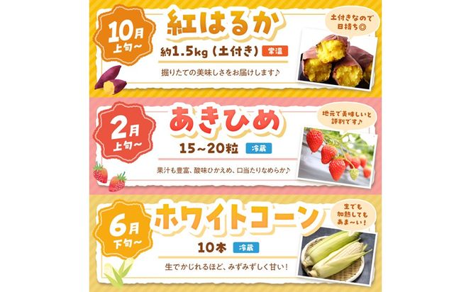 まつみやファーム獲れたて野菜・フルーツ3種定期便 ふるさと納税 果物 くだもの フルーツ ふるーつ 野菜 やさい 芋 穀物 紅はるか さつまいも いちご イチゴ 苺 ホワイトコーン 農家応援 生産者応援 送料無料　MY00023
