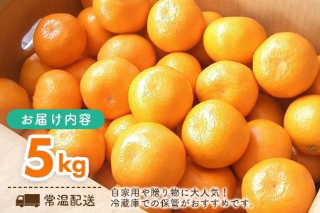 【先行受付 令和8年6月より発送開始】佐賀県産『ハウスみかん』約5000g【果物 フルーツ みかん 柑橘 ビタミン デザート ふるさと納税】(H108116)