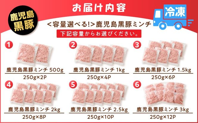 ＜容量選べる！＞鹿児島黒豚ミンチ 500g～3kg　K025-013