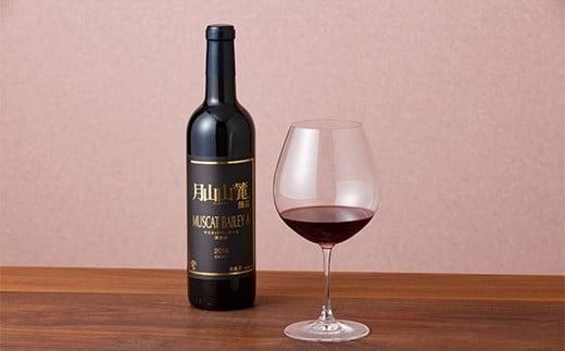 FYN6-462 【月山トラヤワイナリー】 マスカットベーリーA 赤ワイン 3種 飲み比べ 定期便 3回 辛口 山形 西川町 酒