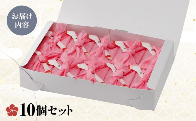 梅餅（10個セット） ANBT003