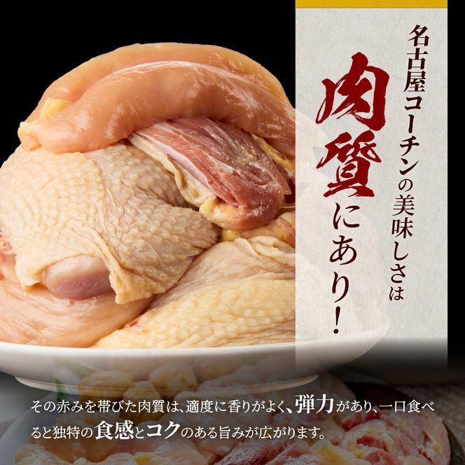【半年に1回　計2回定期便】名古屋コーチン鍋&名古屋コーチン1羽分セット・名古屋コーチン焼鳥セット[001T08-T]
