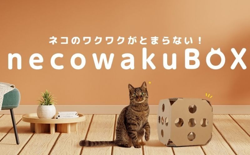necowakuBOX [KA001]|ねこ 猫 ネコ おもちゃ 段ボール
