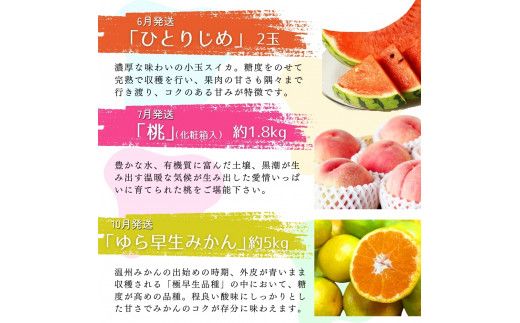 【全6回定期便】旬のフルーツ定期便 【田村みかん / 紀州デコ(不知火) / 清見オレンジ / 小玉スイカ / 桃 / ゆら早生みかん】 ～和歌山の旬をお届け～ 【tkb314】