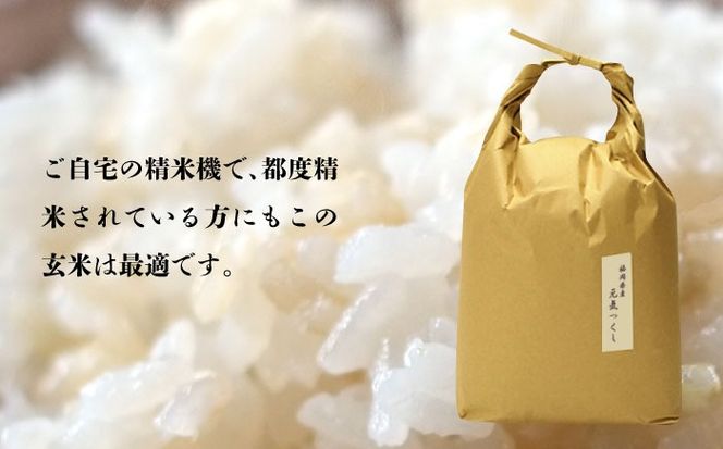 令和7年産【特A】評価のお米「元気つくし」5kg×1袋 [5kg] [玄米]《築上町》【株式会社ベネフィス】[ABDF202]