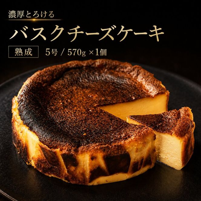 【濃厚とろける】バスクチーズケーキ サイズ5号/容量570g チーズケーキ プレーン バスチー スイーツ ケーキ 洋菓子 デザート 冷凍 ギフト